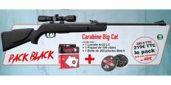 Pack carabine à plombs 4,5 mm GAMO Big Cat 1000-E (19,9 Joules) + Lunette 4x32