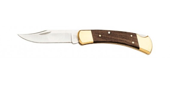 Couteau BUCK - 110 Folding Hunter